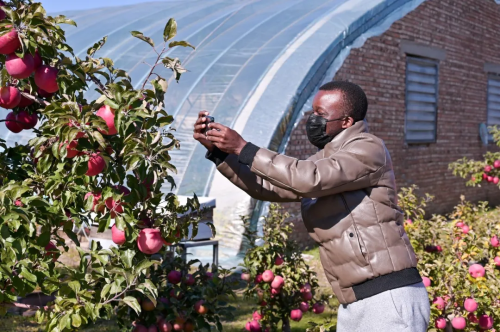 图片8.png 图片8.png