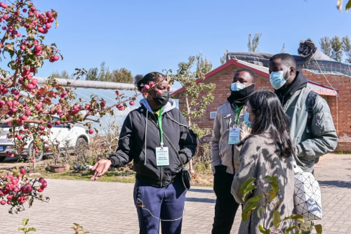 图片9.png 图片9.png