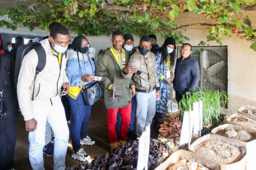 图片10.png 图片10.png