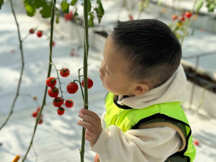 微信图片_20241024091741