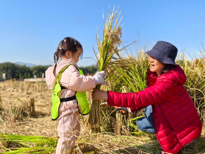 微信图片_20241024091821