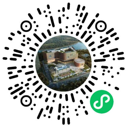 一大一小