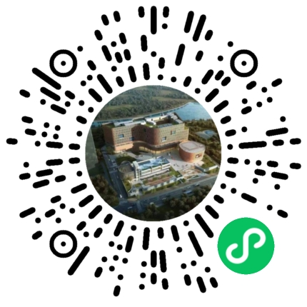 两大一小 两大一小