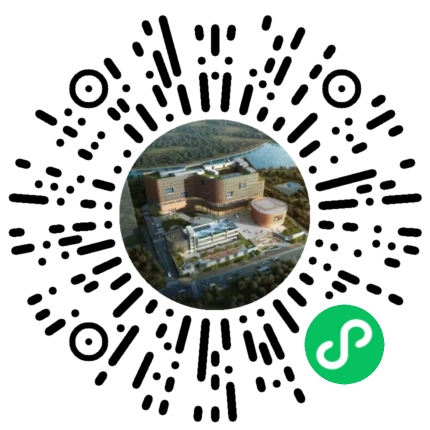 成人单人 成人单人