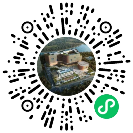 两大一小码 两大一小码