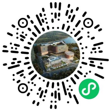 绿山墙的安妮双人 绿山墙的安妮双人