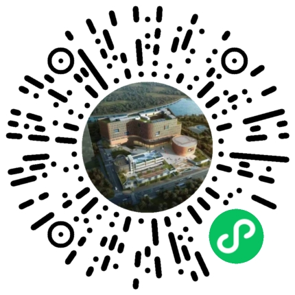 绿山墙的安妮三人 绿山墙的安妮三人