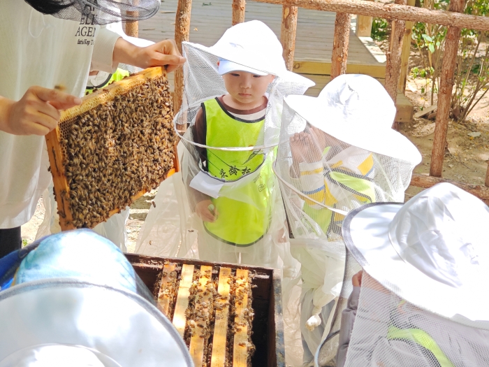 微信图片_20250429144923 微信图片_20250429144923