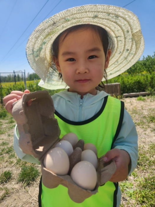 微信图片_20250429145208 微信图片_20250429145208